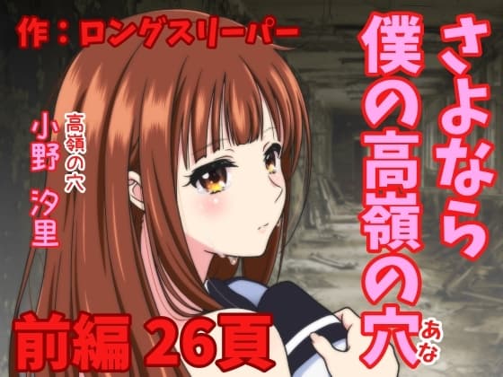 さよなら僕の高嶺の穴 前編 cover