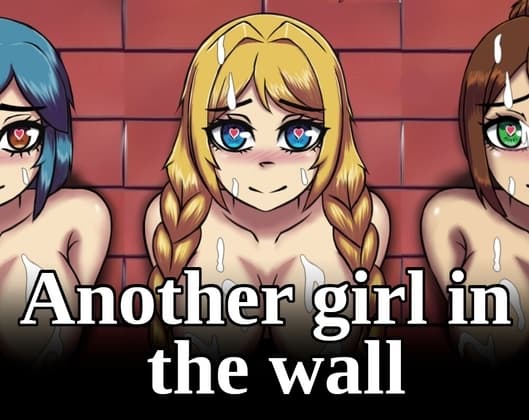 Another in the wall cover