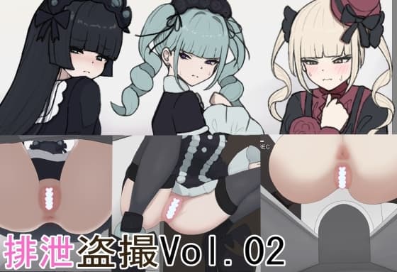 排泄盗撮Vol.02 cover