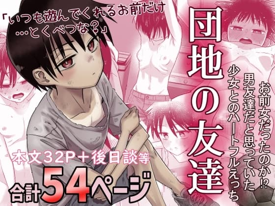 団地の友達 cover