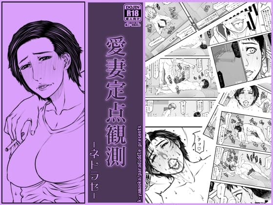 愛妻定点観測 -ネトラセ- cover