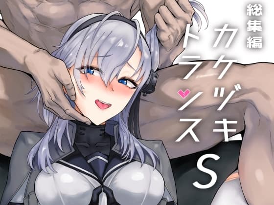 総集編 カケヅキトランスS cover
