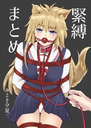 緊縛まとめ cover
