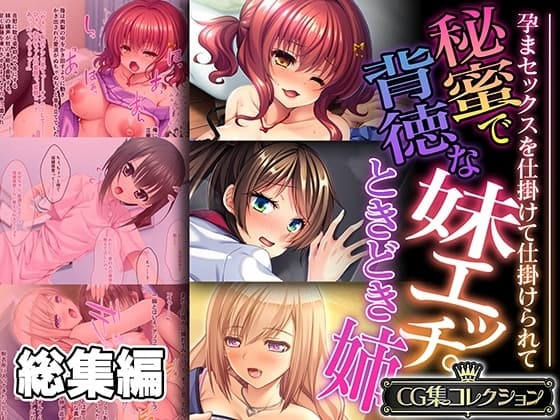 秘蜜で背徳な妹エッチ。ときどき姉 ～孕まセックスを仕掛けて仕掛けられて～【CG集コレクション】 cover