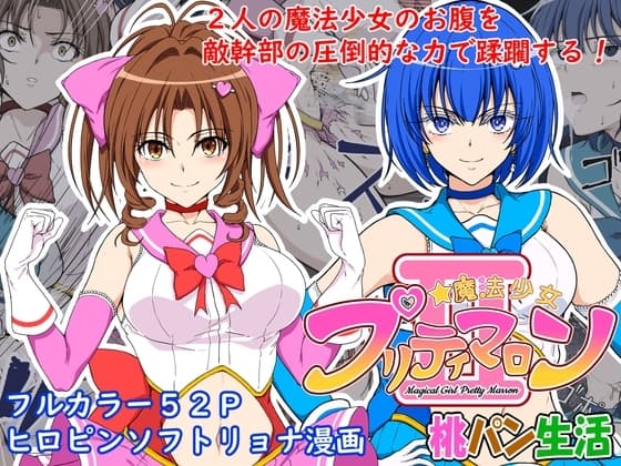 魔法少女プリティマロン2 cover