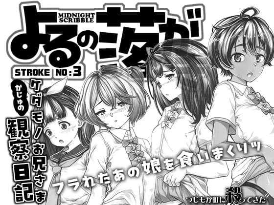 よるの落がき3 かじゅのケダモノお兄様観察日記 cover