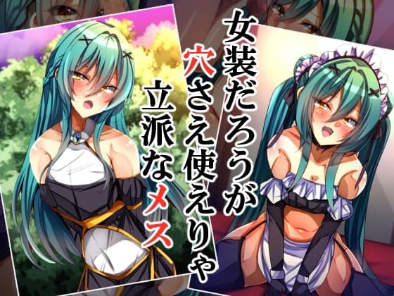女装だろうが穴さえ使えりゃ立派なメス cover
