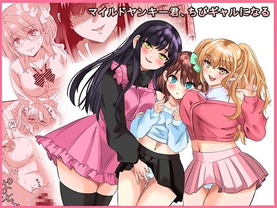 マイルドヤンキー君、ちびギャルになる cover
