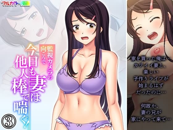 監視カメラの向こうで今日も妻は他人棒で喘ぐ! 3巻 cover