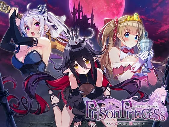 プリズンプリンセス ハメられし姫たち cover