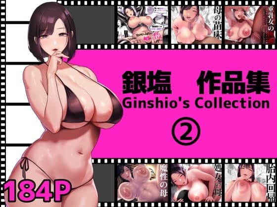 銀塩作品集2 cover