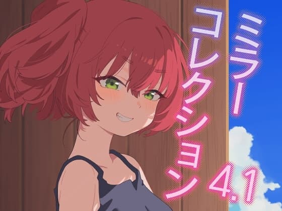 ミラーコレクション - 4.1 cover