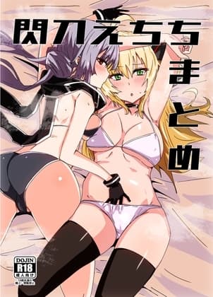 閃刀えちちまとめ cover