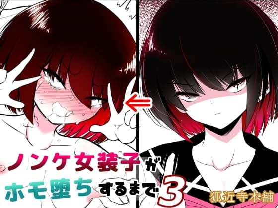 ノンケ女装子がホモ堕ちするまで3 cover