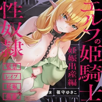 エルフの姫騎士は性奴○になりました～妊娠、出産編～ cover
