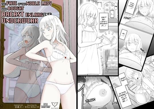 The Fate of the Noble Lady Who Bought [Breast Enlarging Underwear] cover
