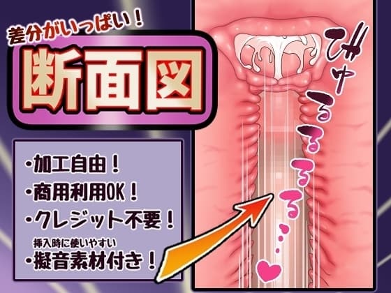 差分がいっぱい！断面図 cover