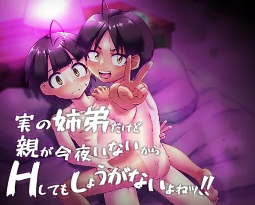 実の姉弟だけど親が今夜いないからHしてもしょうがないよねッ！！ cover