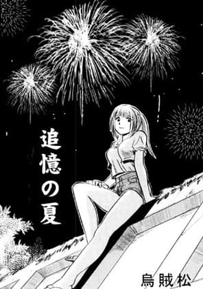 追憶の夏 cover