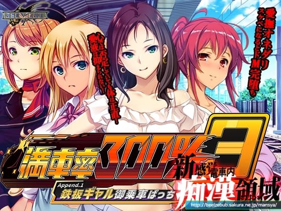 満車率300% 3≒:Append.1 鉄板ギャル御乗車ぱっち cover
