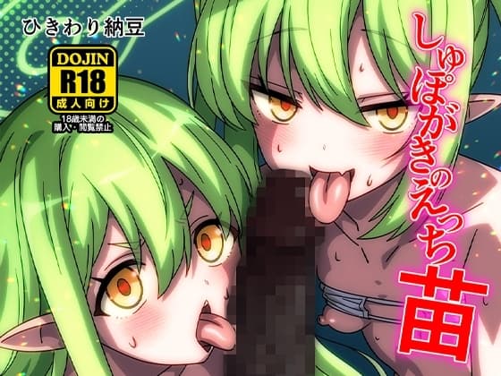 しゅぽがきのえっち苗 cover