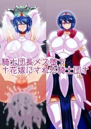騎士団長メス堕ち†花嫁にされた騎士団† cover