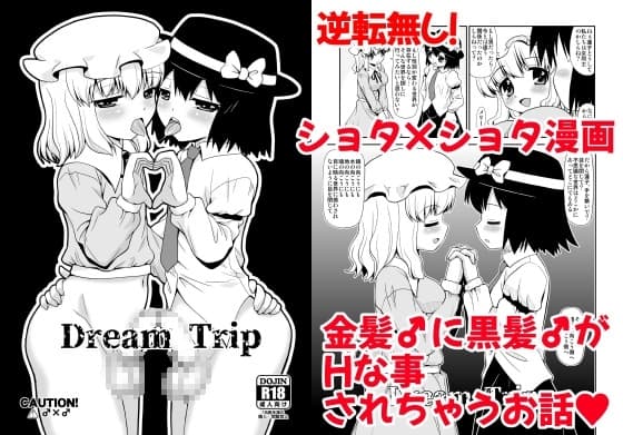 Dream Trip cover