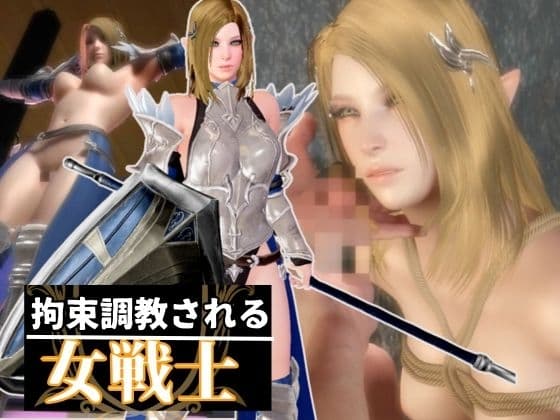 エルフのパラディンを捕まえて調教する動画総集編 cover