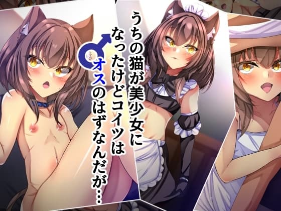 うちの猫が美少女になったけどコイツはオスのはずなんだが… cover