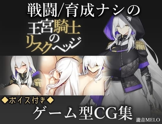 王宮騎士のリスクヘッジ cover