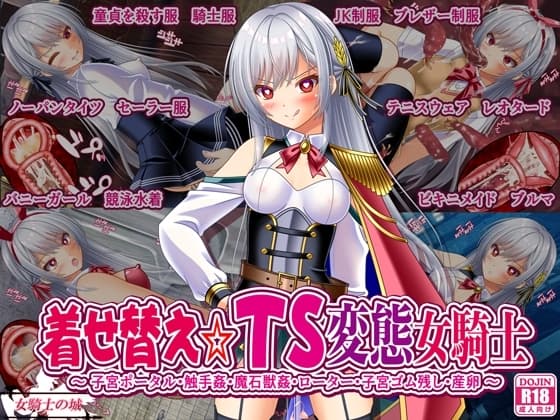 着せ替え☆TS英雄王III ～立ち・座り・騎乗位編～ cover