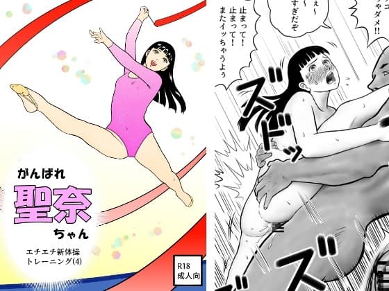 がんばれ聖奈ちゃん エチエチ新体操トレーニング(4) cover