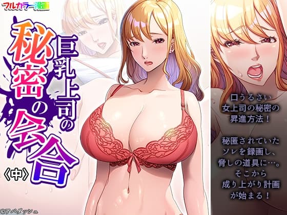 巨乳上司の秘密の会合 中 cover