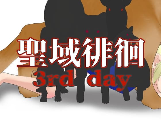聖域徘徊3rd day cover