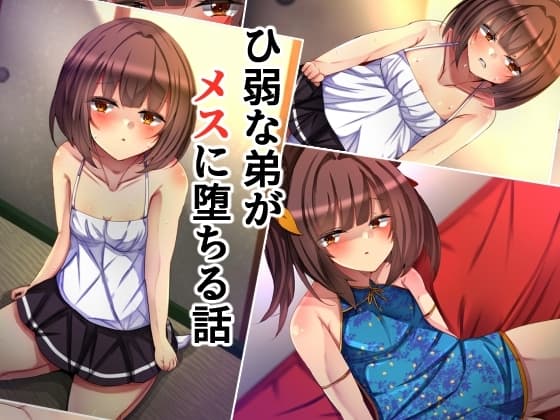 ひ弱な弟がメスに堕ちる話 cover