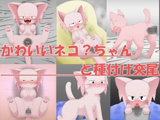 ネコ?と少年 cover