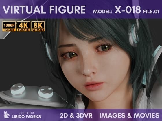 2D+3DVR VIRTUAL FIGURE MODEL:X-018 FILE.01 cover