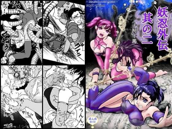 妖忍外伝 Vol.2 cover