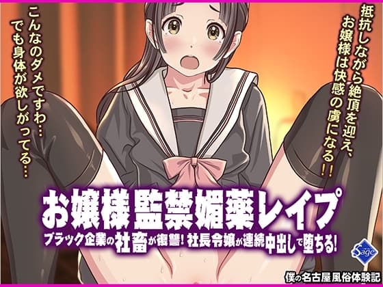 お嬢様監禁媚薬レ○プ-ブラック企業の社畜が復讐！社長令嬢が連続中出しで堕ちる！- cover