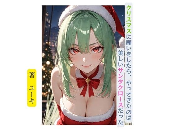クリスマスに願いをしたら、やってきたのは美しいサンタクロースだった cover