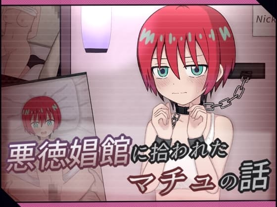 悪徳娼館に拾われたマチュの話 cover