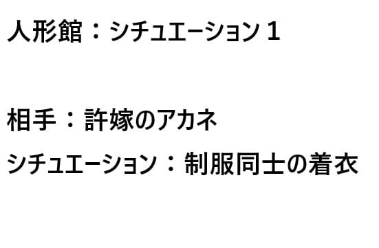 人形館:シチュエーション1 cover