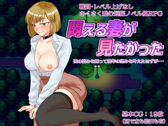 悶える妻が見たかった cover