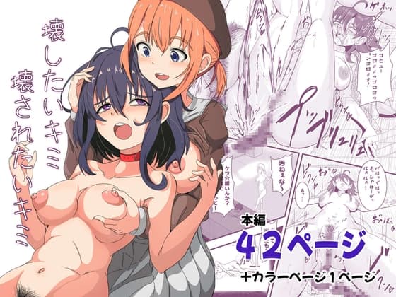 壊したいキミ 壊されたいキミ cover