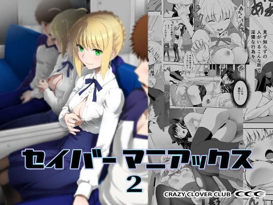 セイバーマニアックス2 cover