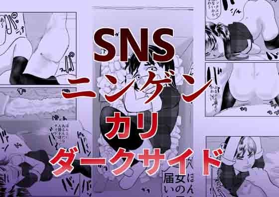 SNSニンゲンカリダークサイド cover