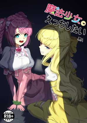 魔法少女にえっちしたい cover