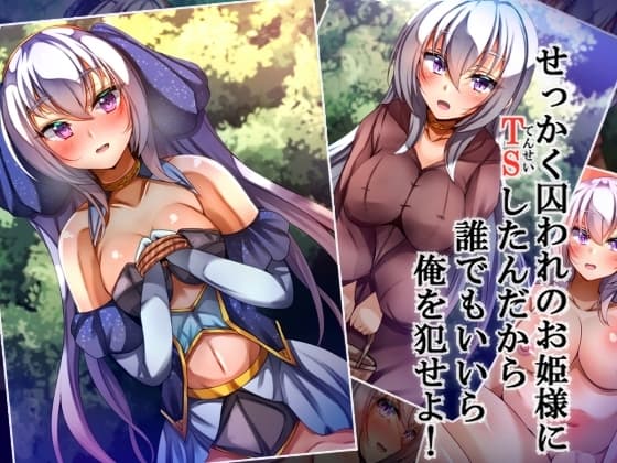 せっかく囚われのお姫様にTSしたんだから誰でもいいから俺を犯せよ! cover